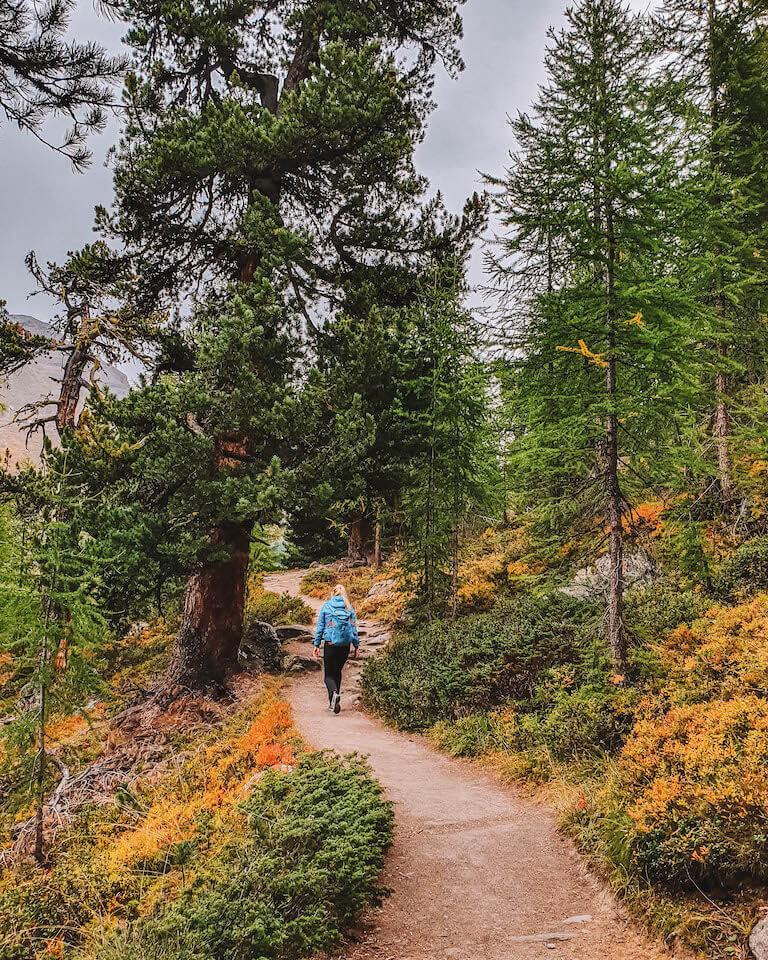 Wandern Zermatt
